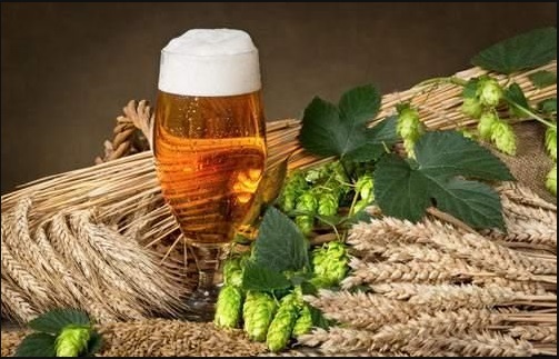 精釀啤酒-濟南豪魯 精釀啤酒-濟南豪魯