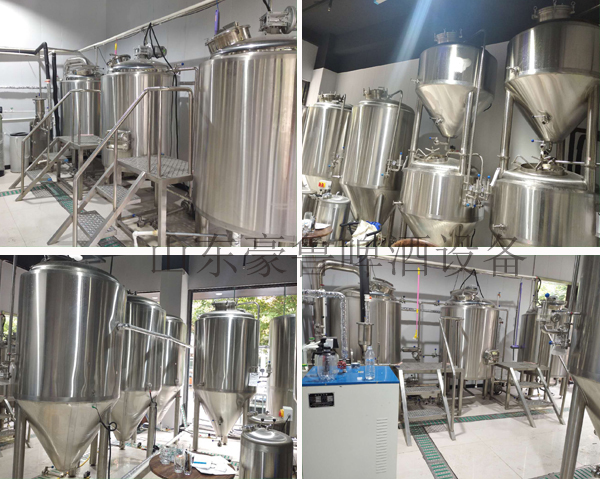 精釀啤酒設(shè)備 精釀啤酒設(shè)備